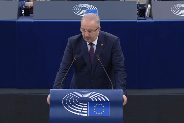 480123647 1016418200297265 6082802559591946290 n