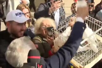 WhatsApp Image 2025 10 30 at 12.17.00