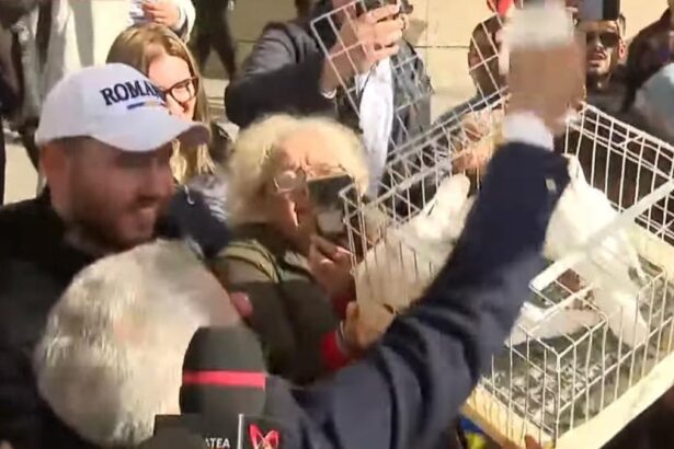 WhatsApp Image 2025 10 30 at 12.17.00