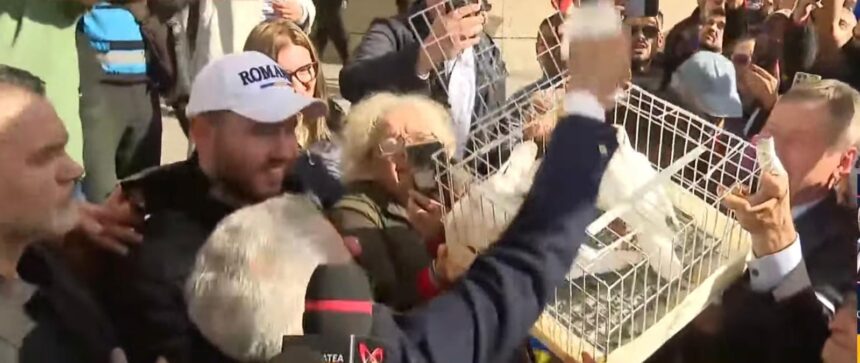 WhatsApp Image 2025 10 30 at 12.17.00