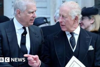 andrew sought personal information about accuser reports claim 68f4a6e038211