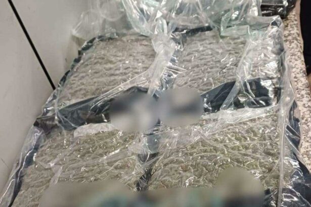 cetatean albanez retinut pe aeroportul otopeni cu 22 de kilograme de canabis ascunse in bagaj 68f374deabd80