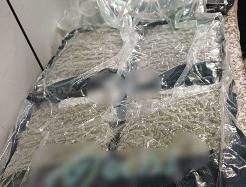 cetatean albanez retinut pe aeroportul otopeni cu 22 de kilograme de canabis ascunse in bagaj 68f374deabd80