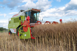 cum arata planul lansat de bruxelles pentru a dubla prezenta tinerilor agricultori pana in 2040 agricultura sector esential pentru ue 68f7b46c366ee