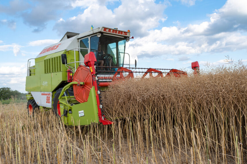 cum arata planul lansat de bruxelles pentru a dubla prezenta tinerilor agricultori pana in 2040 agricultura sector esential pentru ue 68f7b46c366ee