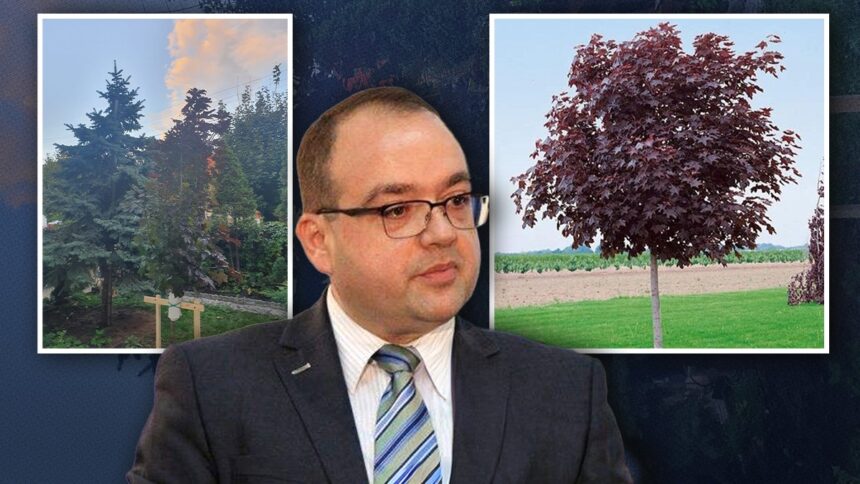 cum s a sucit naumescu de cand a ajuns consilierul lui nicusor dan in evaluarea presedintelui sua de la incultul de trump la premiul nobel acum isi planteaza brusc si un artar am 68e796d7b3c27