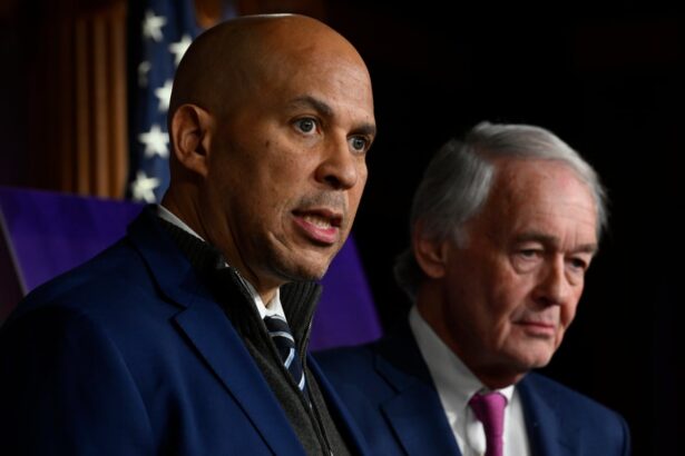 democratic senators call on education department to stop ice raids by schools 68fb84317874e