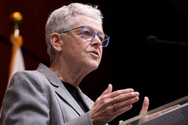 ex epa head urges us to resist trump attacks on climate action we wont become numb 69037ebe6646e
