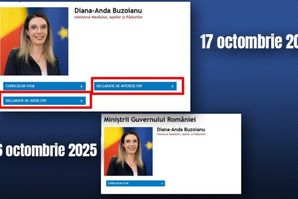 gandul a scris guvernul a reactionat declaratiile de avere si de interese ale dianei buzoianu ministra mediului au fost publicate pe site 68f20ee71dddf