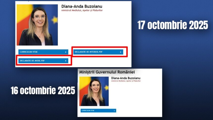 gandul a scris guvernul a reactionat declaratiile de avere si de interese ale dianei buzoianu ministra mediului au fost publicate pe site 68f20ee71dddf