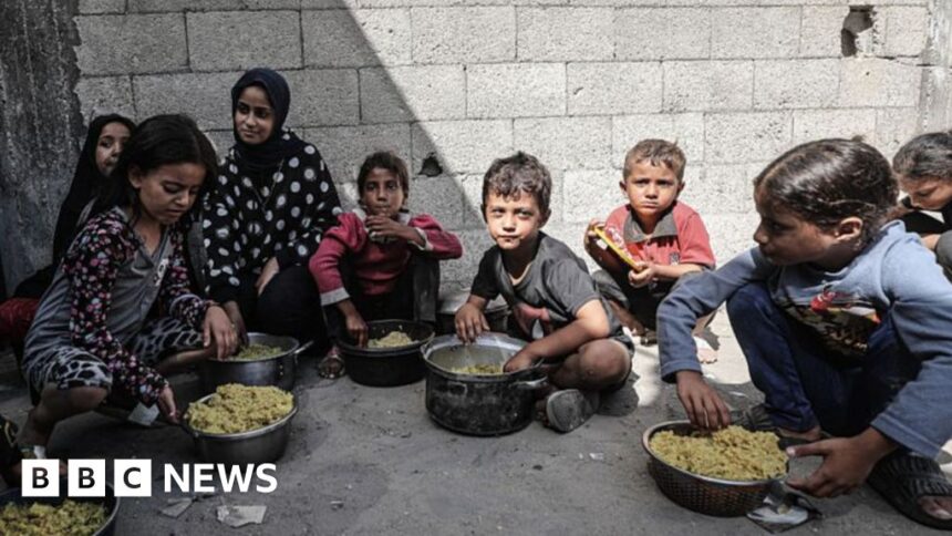 gaza health crisis will last for generations who chief warns 68f869c95ef0e