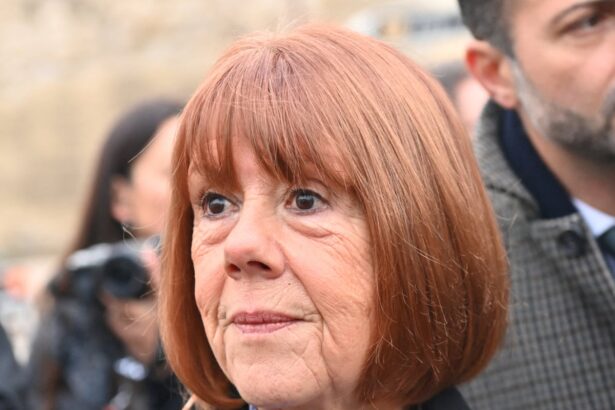 gisele pelicot to attend appeals court as man convicted of raping her contests verdict 68e2483c09cb8