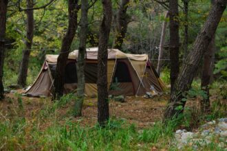 incepe vacanta intersemestriala care este materia la care elevii trebuie sa aiba nota in mod obligatoriu 68f5db0589f2d