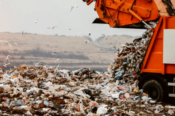 ins cat a cheltuit romania pentru protectia mediului in 2024 68fb2233057bf