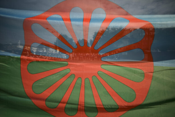 liderul romilor din gorj cheama la protest ma inscriu chiar daca nu sunt rom spune un gorjean 68ea35c43579c