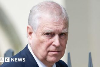 met police to look into claims andrew sought information on accuser 68f4aef75058e