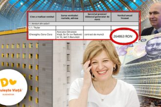 mii de euro pe luna pentru noul vicepremier al romaniei oana gheorghiu ce salariu a incasat ca sefa a ong ului care construia spitale 69030a95f1e65