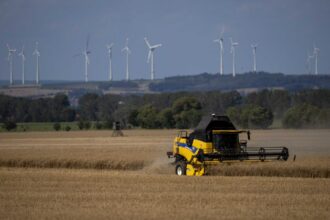 ministrul agriculturii florin barbu conditii simplificate de acordare a ajutorului financiar pentru producatorii de legume in spatii protejate 68e7885ed28e1