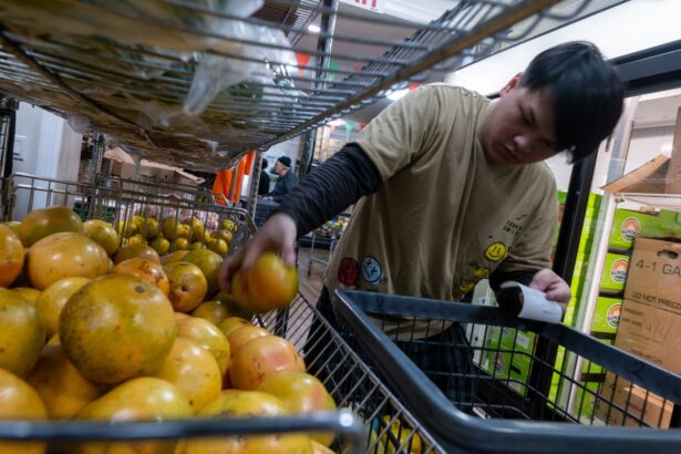 new york declares state of emergency to issue food banks 65m amid shutdown 6903aed4e2fd2