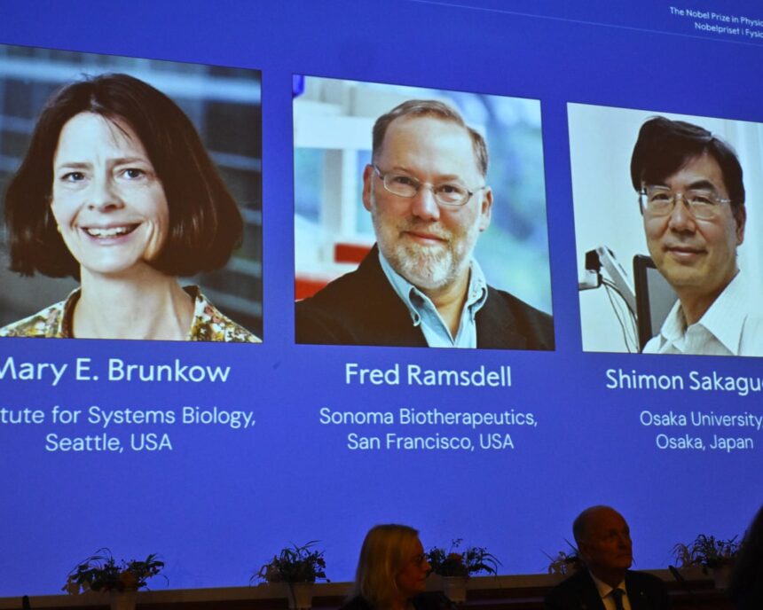 nobel prize in medicine awarded to scientists for immune system research 68e393f5d3723