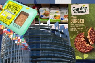 parlamentul european a votat interzicerea denumirilor de friptura hamburger sau carnati pentru produsele vegetariene 68e6755c0a675