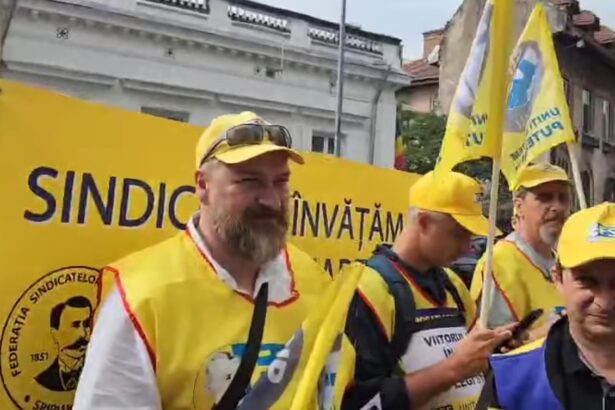 profesorii anunta referendum pentru greva generala 6902080c78760