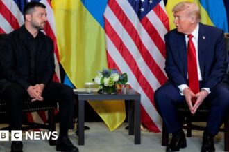 putin trump call a curveball for zelensky ahead of white house meeting 68f1b1e00b441