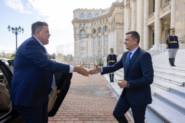 sorin grindeanu a transmis delegatiei din australia ca romania isi doreste o colaborare in energie si aparare 68ed0cdcde366