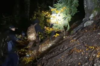 trei ucraineni in hipotermie salvati dupa ce au ramas blocati patru zile in muntii maramuresului 68f480273c0e9