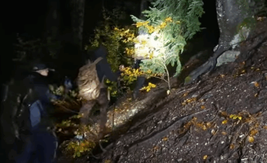 trei ucraineni in hipotermie salvati dupa ce au ramas blocati patru zile in muntii maramuresului 68f480273c0e9