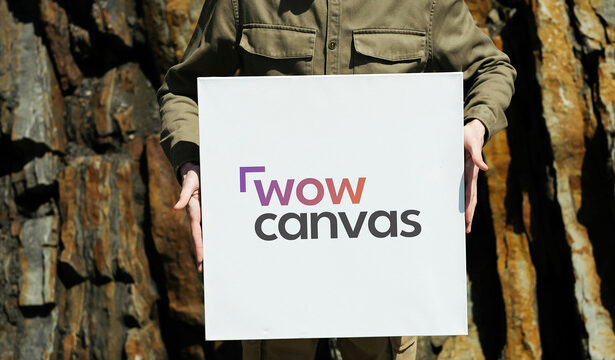 wow canvas cum tabloul personalizat devine elementul central in casa romaneasca moderna 68f1f1826485b