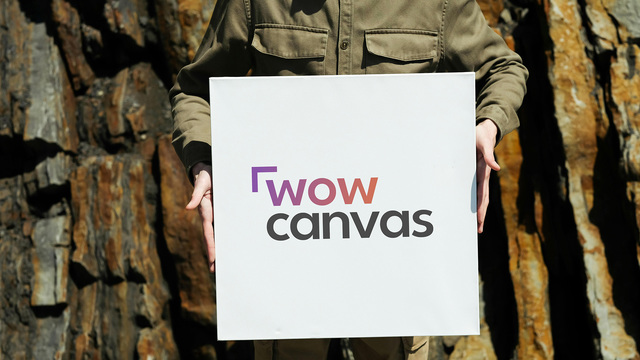 wow canvas cum tabloul personalizat devine elementul central in casa romaneasca moderna 68f1f1826485b