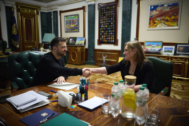 zelenski numeste primul ombudsman militar din istoria ucrainei 68f0d44d0c22d