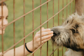 157efe e120bf1209cf499286ef4371806aa849mv2