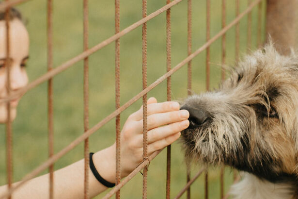 157efe e120bf1209cf499286ef4371806aa849mv2