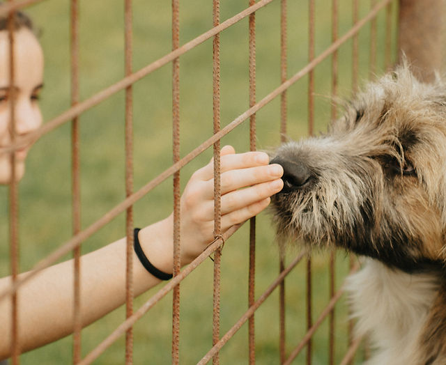 157efe e120bf1209cf499286ef4371806aa849mv2