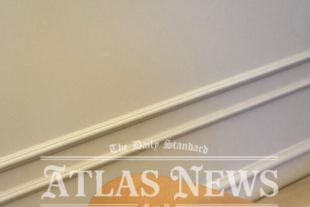 WhatsApp Image 2025 11 21 at 17.56.30