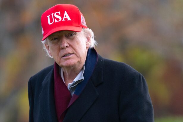 appeals court upholds 1 million penalty against trump over frivolous clinton comey lawsuit 6927556219ac6