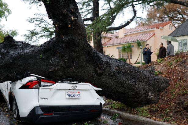 atmospheric river storm leaves six dead after drenching california 691b212ec01c1