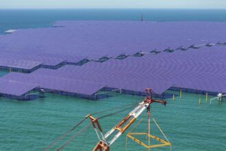 chinas co2 emissions have been flat or falling for past 18 months analysis finds 691349a3985fd