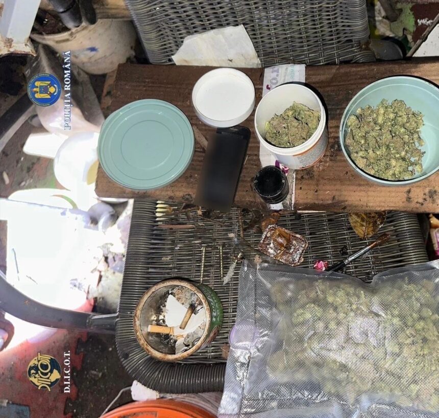 cocaina si amfetamina pentru cluburi cu muzica electronica din iasi dealerii unul dintre ei dj au fost arestati 691b507eda9e8