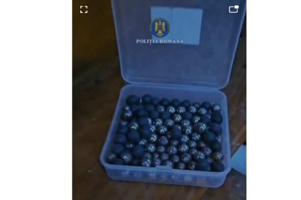 cruzime un constantean confectiona capcane cu cuie pentru pisici si le ranea video 6912d62a713c0