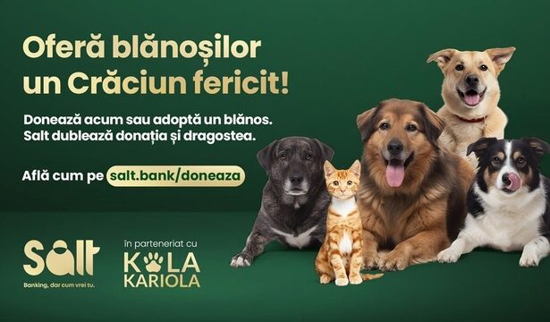 de craciun nici blanosii nu ar trebui sa fie singuri salt bank dubleaza donatiile si dragostea 6926f85cc509c