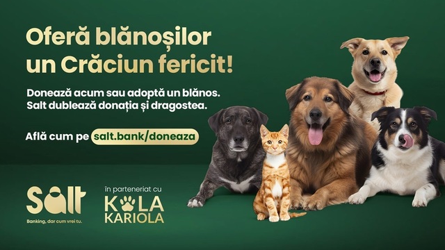 de craciun nici blanosii nu ar trebui sa fie singuri salt bank dubleaza donatiile si dragostea 6926f85cc509c