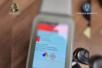 dealeri de cocaina arestati in brasov au fost prinsi cu drogurile in masina 6921d9e9da241