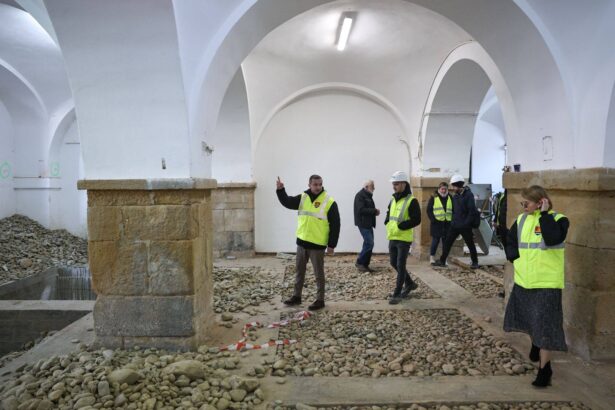 descoperiri arheologice importante la castelul huniade ziduri din vremea lui iancu de hunedoara si regelui carol robert de anjou 6924bfa994227