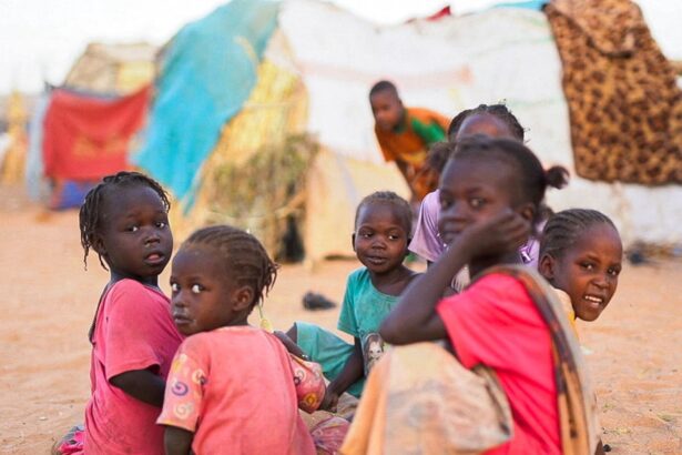 dire warnings over aid and hunger following rsfs capture of sudanese city 6914c0a60b3d2