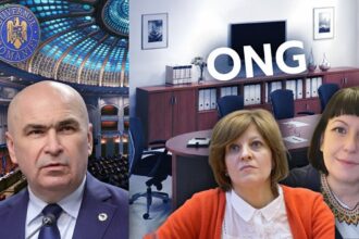 edited inca un ong ist ocupa un loc in echipa lui bolojan madalina marcu devine secretar de stat in biroul oanei gheorghiu 691c8535e0a8f