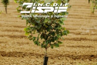 edited institutul de imbunatatiri funciare fara acreditare din 2021 functioneaza cu angajati pensionati si curent luat de la vecini 691f16a197bc5