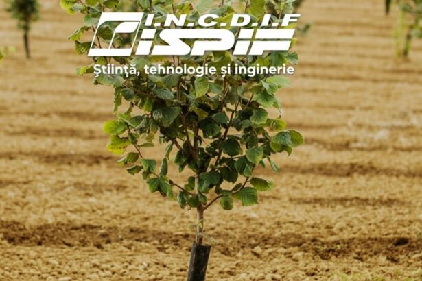 edited institutul de imbunatatiri funciare fara acreditare din 2021 functioneaza cu angajati pensionati si curent luat de la vecini 691f16a197bc5